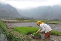 Frivilligt arbejde i Vietnam Frivilligt arbejde i Vietnam