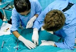Frivilligt arbejde i Medicin & Sundhed Frivilligt arbejde i Medicin & Sundhed