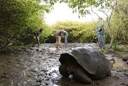 Frivilligt arbejde i Ecuador Frivilligt arbejde i Ecuador