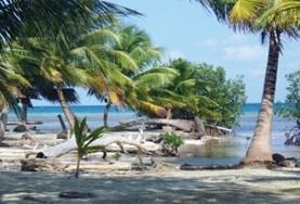 Frivilligt arbejde i Belize Frivilligt arbejde i Belize